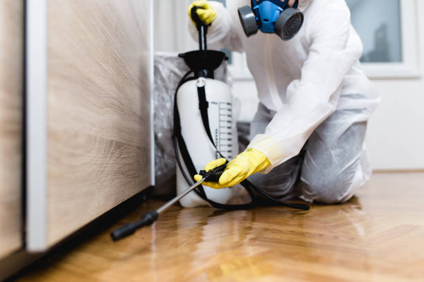 Best Commercial Pest Control Services  in Gun Barrel City, TX